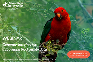 Australian King-Parrot (Alisterus scapularis) Photo Credit Kayla Mills CC BY NC