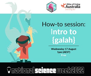 Atlas of Living Australia | ala.org.au | How-to-session: Intro to {galah} | Wed 17 August 1pm AEST | Free | National Science Week 2022