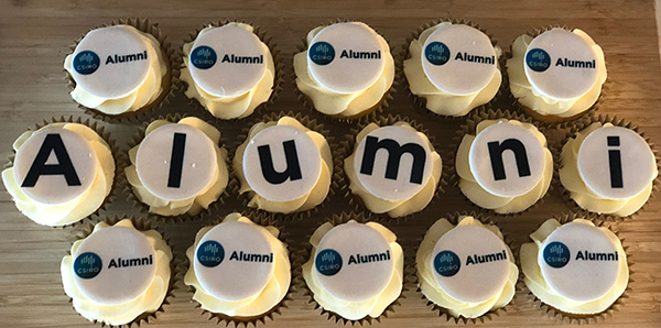 Cupcakes iced with the word alumni