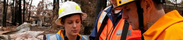 Researchers standing in burned forest investigating bushfire