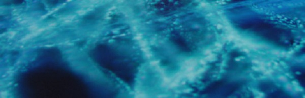 Microscopic image with blue pattern