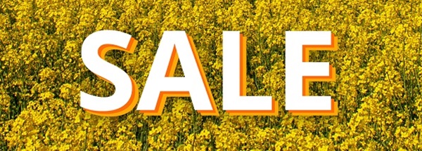 The word sale on a background of flowers