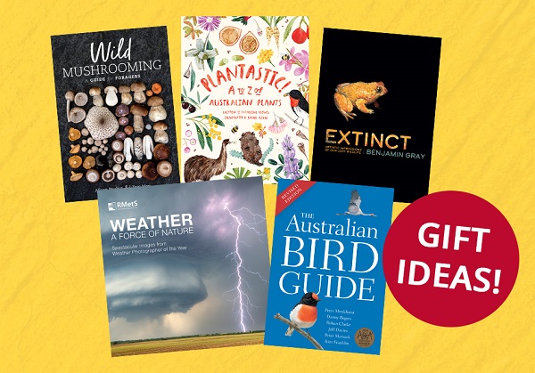 Selection of books on offer