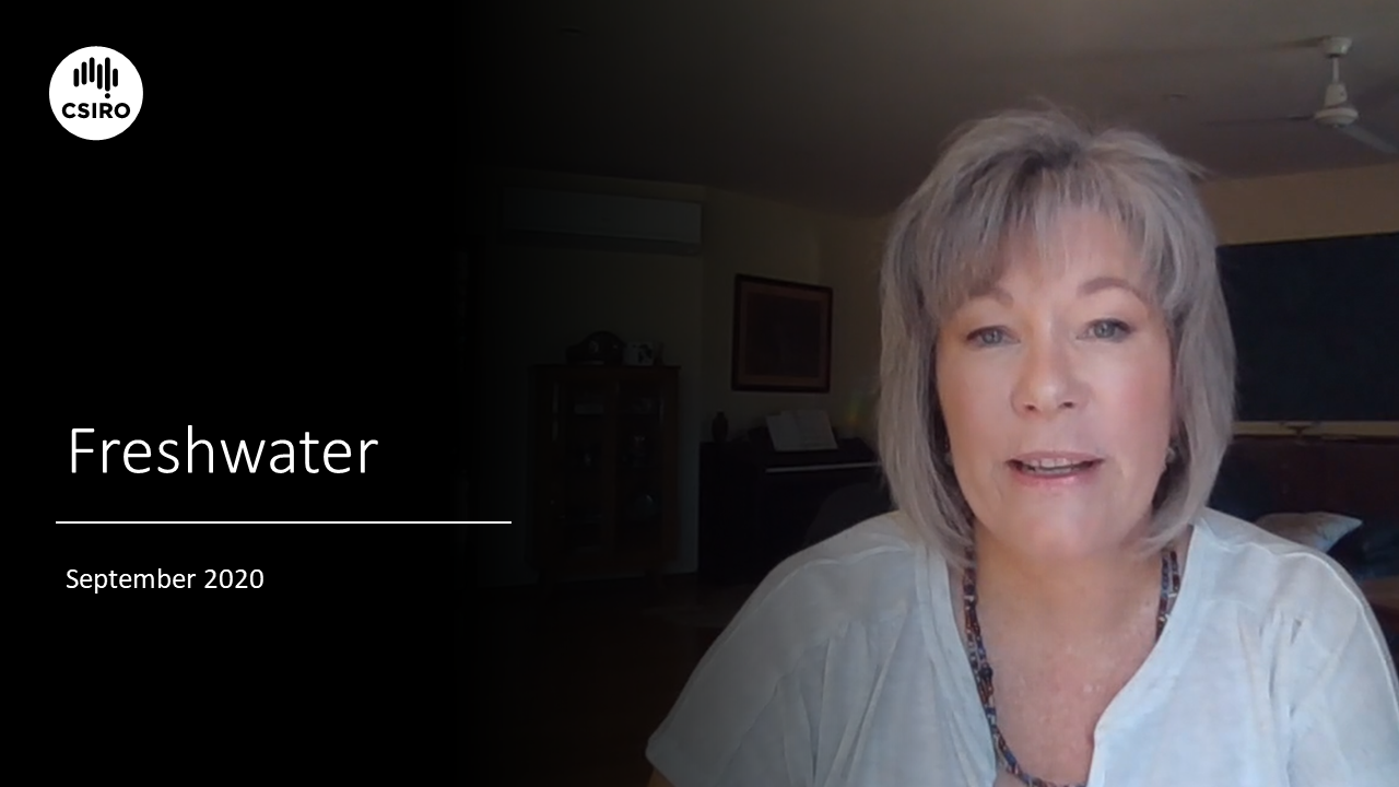 Video - Janet Anstee