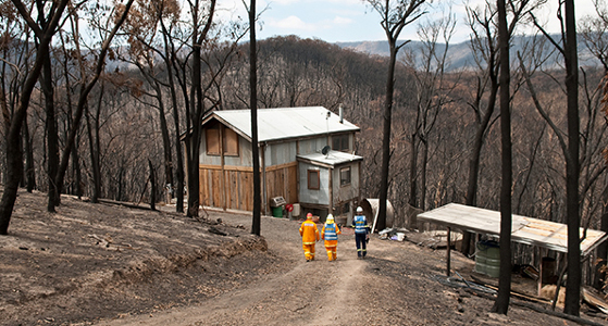 people in protective uniforms heading down a path towards a house surrounded by charred trees