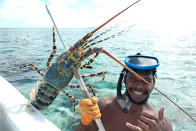 A man holding up a lobster wearing a snorkel mask on top of his head. He's in the water and smiling at the camera
