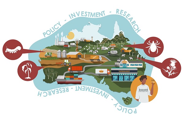 Illustration of the agripest system