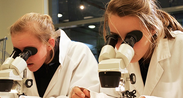 Children using microscope at CSIRO Discovery Centre