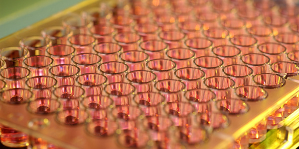 Sequencing tray. 