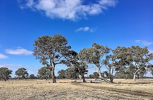 Farming lang near gas wells in SA's south east