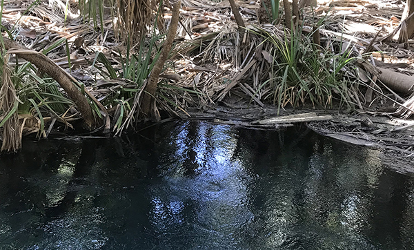 Water studies in the Beetaloo sub-Basin, Northern Territory