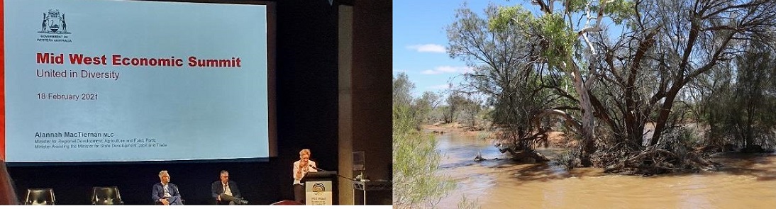 MW Economic forum and the roderick