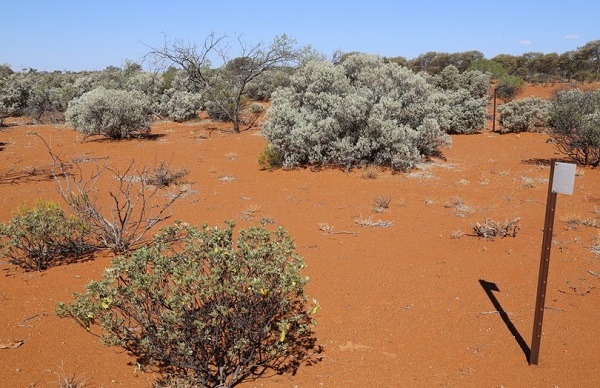 Boolardy site works - fencing