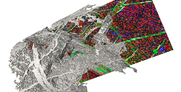 Grey graphite superimposed with false coloured signature of different minerals