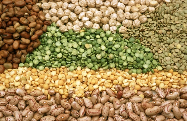 Pulses and legumes