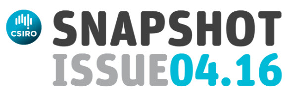 Snapshot issue 04.16