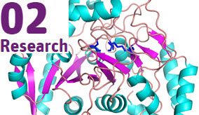 Accelerating drug discovery