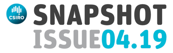 Snaphsot issue 04.19