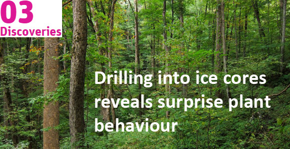 Drilling into ice cores reveals surprise plant behaviour
