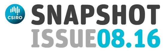 Snapshot banner