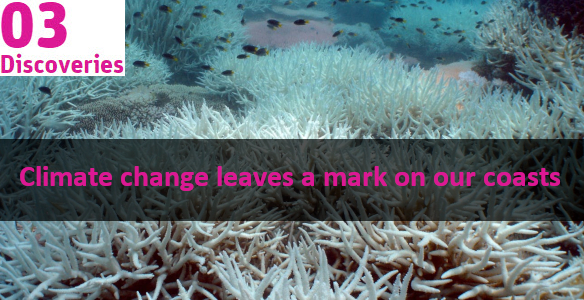 Bleached staghorn coral on the Great Barrier Reef. Text overlay reads: Climate change leaves a mark on our coasts