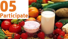 CSIRO diet survey image. 