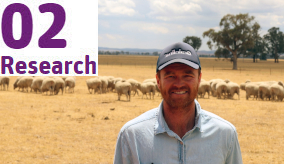 smiling farmer in a cap standing in a field with sheep grazing behind him