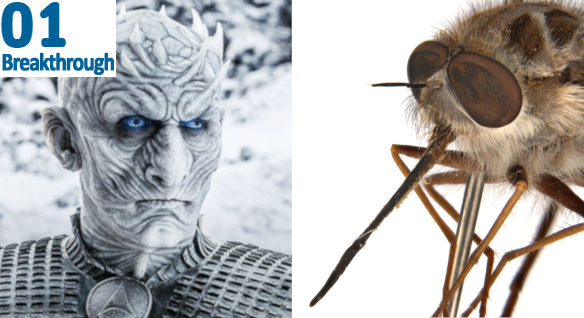 Game of Thrones' Night King with close up of newly named bee fly