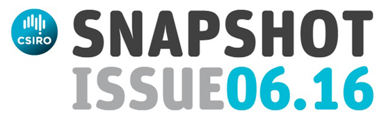 Snapshot Issue 06.16