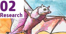 Hand drawn rendering of a bat