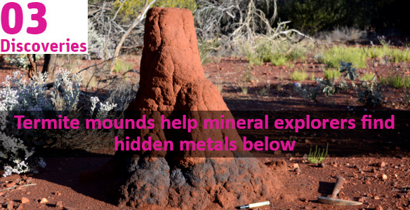 termite mound in bush. text reads: termite mounds help mineral explorers find hidden metals below