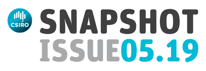 snapshot issue 05.19