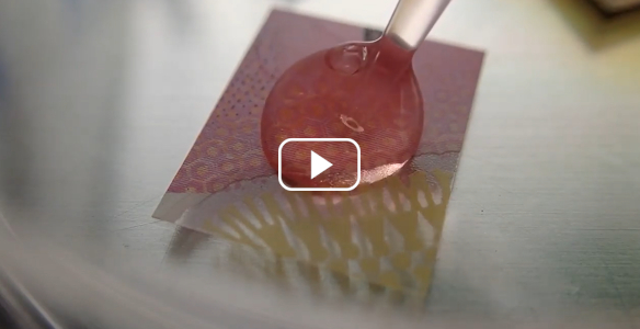 A droplet on a bank note