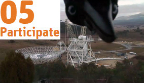 Magpies return with Spring