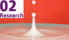 We continue research into dairy