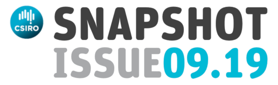 Snapshot issue 09.19