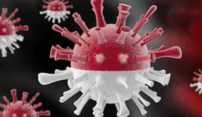 An image of COVID-19 in red and white