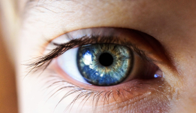 A close up image of an eye