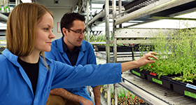Two people in lab coats