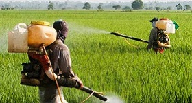 image of farmers
