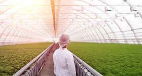 image of agriculture
