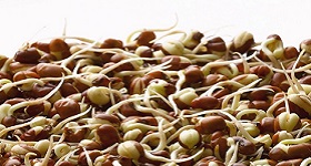Image of cowpeas