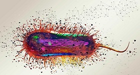 Image of flagellar motors